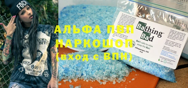крисы Тайга