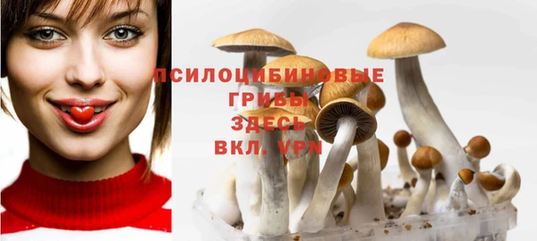 крисы Лиски