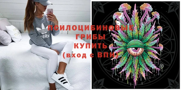 a pvp Сясьстрой