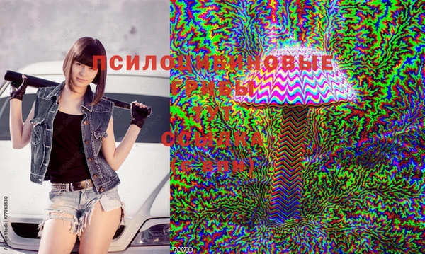 mix Лабытнанги