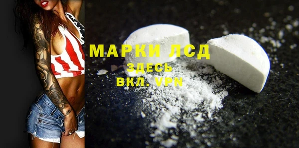 дживик Снежногорск