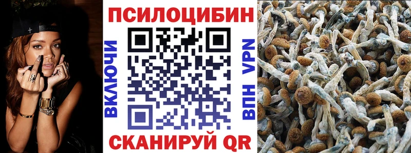 mega онион  Сольцы  Галлюциногенные грибы прущие грибы 