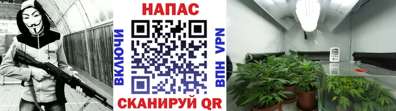 МАРИХУАНА сатива  магазин продажи наркотиков  Сольцы 